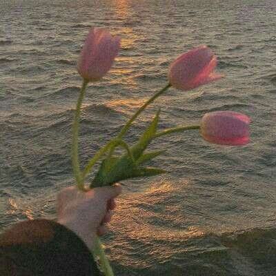 买球的app排行榜前十名推荐手机app下载